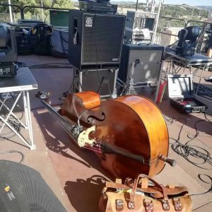 double bass on stage